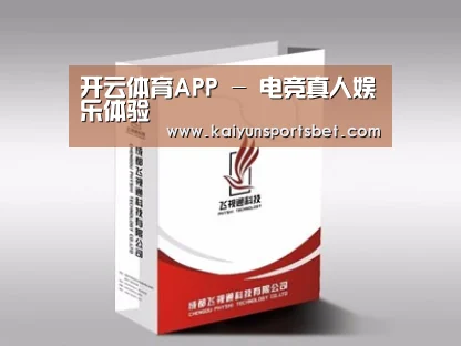 项目名称十三