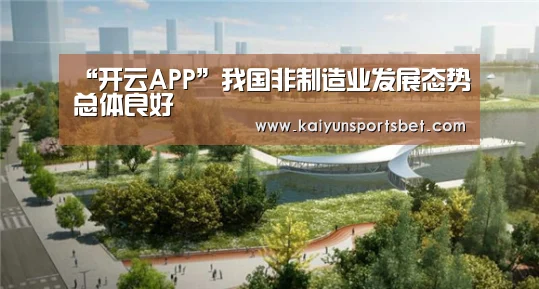 开云APP